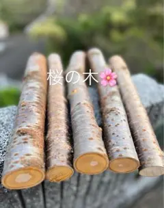 Item thumbnail for item 166c61e4-1b7b-47e5-bfc9-c69c557ecdd0