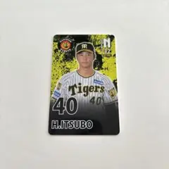井坪陽生 オンサイトカード