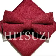 Item thumbnail for item 153c45fe-6d84-4402-a710-d6e2a5ef34e5