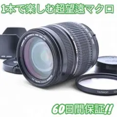 Item thumbnail for item 0609bcd2-211c-4916-859e-5a5a582544d6