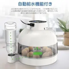 2025年最新】lifebasis 自動孵卵器 インキュベーターの人気