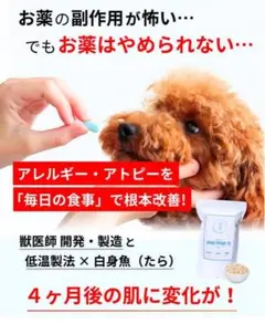 Item thumbnail for item 2e144135-5c6c-4fb2-8861-321af6961654