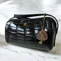 JRA認定✨アイグナー ショルダーバッグ シャイニングクロコダイル ブラック
