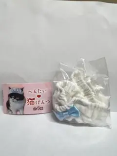Item thumbnail for item 6654d4b4-5f2c-43bd-bb3e-6b0a5c040083