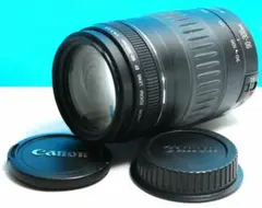 Item thumbnail for item 71a17e6f-1192-4c89-8c0d-c1f6fc9fc875