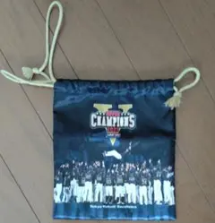 巾着 東京ヤクルトスワローズ プロ野球