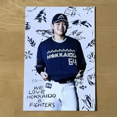 田宮裕涼 WE LOVE HOKKAIDO ポストカード　日本ハムファイターズ