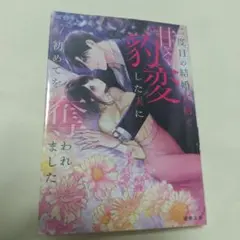 二度目の結婚生活で甘く豹変した夫に初めてを奪われました