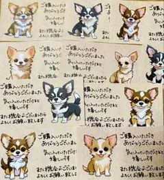 サンキューカード手書き文字チワワ色々