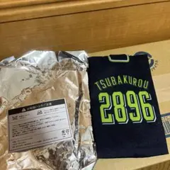 東京ヤクルトスワローズ　つば九郎　未使用　ポケットティッシュケース　キーチェーン