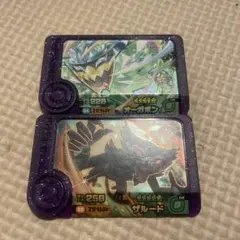 ポケモンフレンダスーパートレジャーオーガポン ザルード セット
