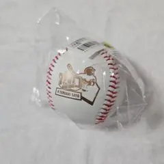 阪神タイガース 佐藤輝明 100本塁打記念日 ボール
