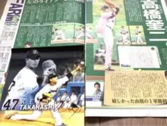 ヤクルトスワローズ 高橋奎ニ 丸ごとスワローズ&切り抜き