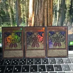 デーモンの光来　遊戯王　3枚