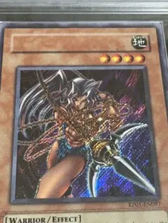 進化の繭　スタジオダイス版　ネームエラーカード 進化の繭 スタジオダイス版 ネームエラーカード 遊戯王OCG