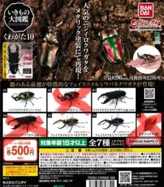 くわがた10 4種類