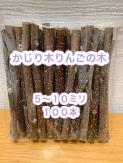 Item thumbnail for item 3b7587c6-3ad4-4a74-84d2-614b15c7c6f8