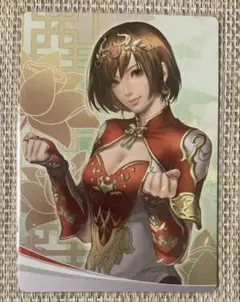 KTスポット 特典カード トレカ 真三國無双 孫尚香