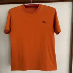 ノースフェイス　シャツ