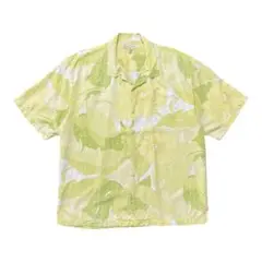 Item thumbnail for item e2529d18-d038-4a63-9961-031ef7e0897f