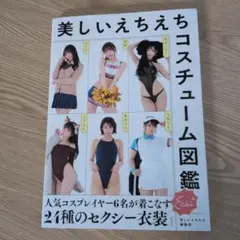 美しいえちえちコスチューム図鑑
