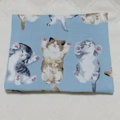 【送料無料】お昼寝猫ちゃん柄 サニタリーケース マスクケース