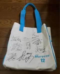 東京電力テプコ・マリーゼ 2007年なでしこリーグ2部優勝Ｔシャツ Lサイズ 2025年最新】マリーゼの人気アイテム - メルカリ