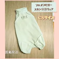 Item thumbnail for item aa82b10a-a681-478a-99f8-ef9811120b69