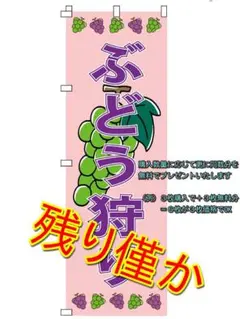 のぼり旗 ぶどう狩り シャインマスカット（購入枚数と同数分を無料でプレゼント）