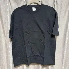 y071305 フルーツオブザルーム　Tシャツ　ブラック　半袖　L