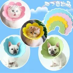 Item thumbnail for item 4754723a-26dc-4a3c-b9de-eef88397aa0e