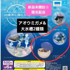 2025年最新】カプリウムコレクション沖縄美ら海水族館の人気