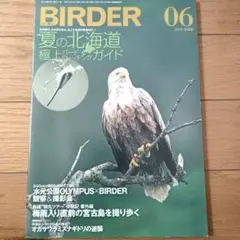 birder 夏の北海道極上バードウォッチングガイド