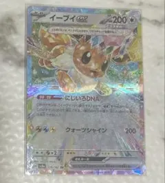 イーブイex RR テラスタルフェスex Mint キラ ホロ