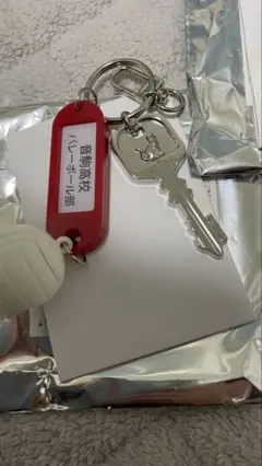 ハイキュー 高校名付き鍵チャームコレクション　音駒 バレーボール　キーホルダー