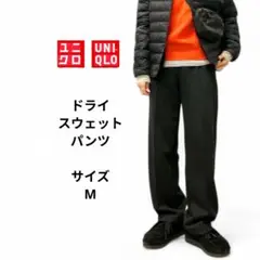 Item thumbnail for item 354808b7-e225-4e6b-afa1-ae09a986774e