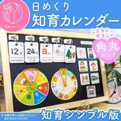 【シンプル】前向き日めくりカレンダー（A4）知育版 視覚支援 保育教材 2025