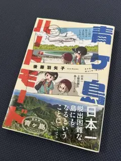 青ヶ島ハードモード～都内の離島に行ってきました～