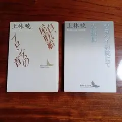 上林暁講談社文芸文庫2冊セットです。