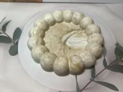 最終値下げジェスモナイトトレイ