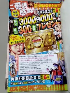 2枚 チャンピオン クオカード応募券