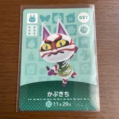任天堂 Switch あつまれどうぶつの森 amiibo カード かふきち