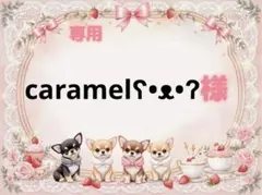 専用