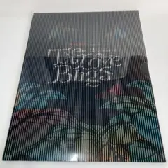 地球ゴージャス　The Love Bugs Vol.14 パンフ レット　城田優
