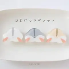 【No.225】はむけつマグネット ドワーフver. (3個セット)