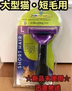 Item thumbnail for item 4fd6f195-0544-432a-826f-ed85a370251e