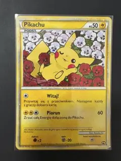 ポケモン - 【極美品】【即日発送】ピカチュウ ポーランド PSA10 ワールド プロモ ピカチュウ PSA10 ポケモンカードゲーム プロモ ワールド