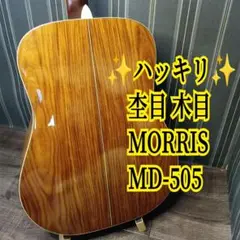 ハッキリ木目★ MORRIS モーリスMD-505 アコースティックギター