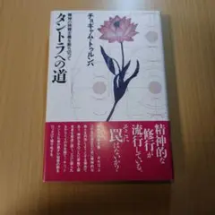 m55800311431_1.jpg?1734235695