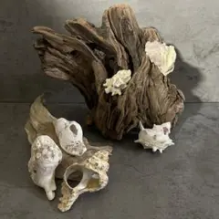 Item thumbnail for item c9681106-1531-4719-a833-29d17b6bc884